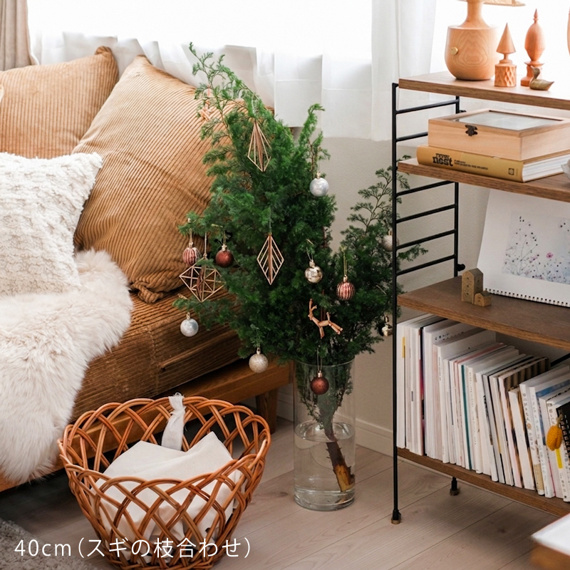 cylin-fb-blog26.jpg