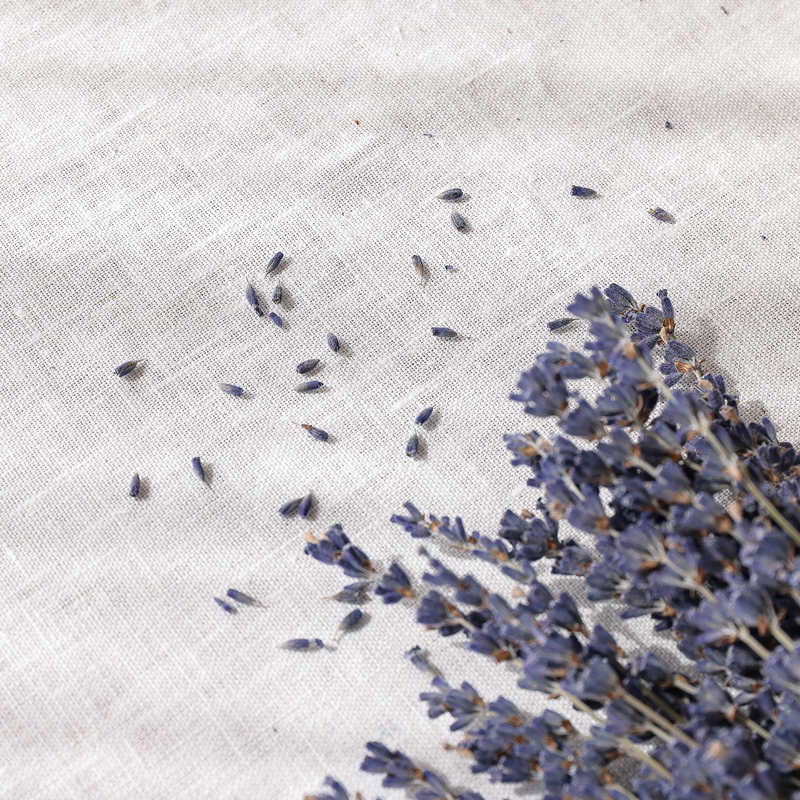 dryflower-blog25.jpg