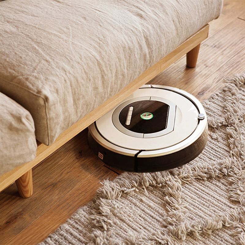 Roomba_rug_01