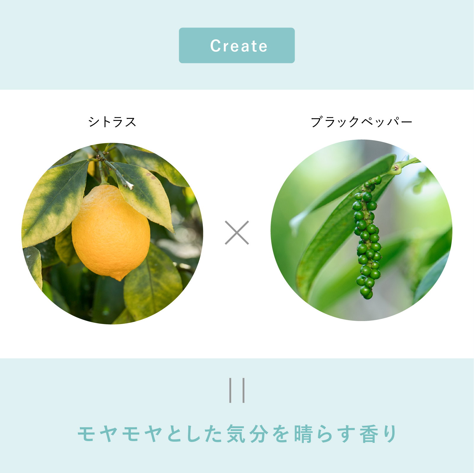 eym-can-blog15.jpg