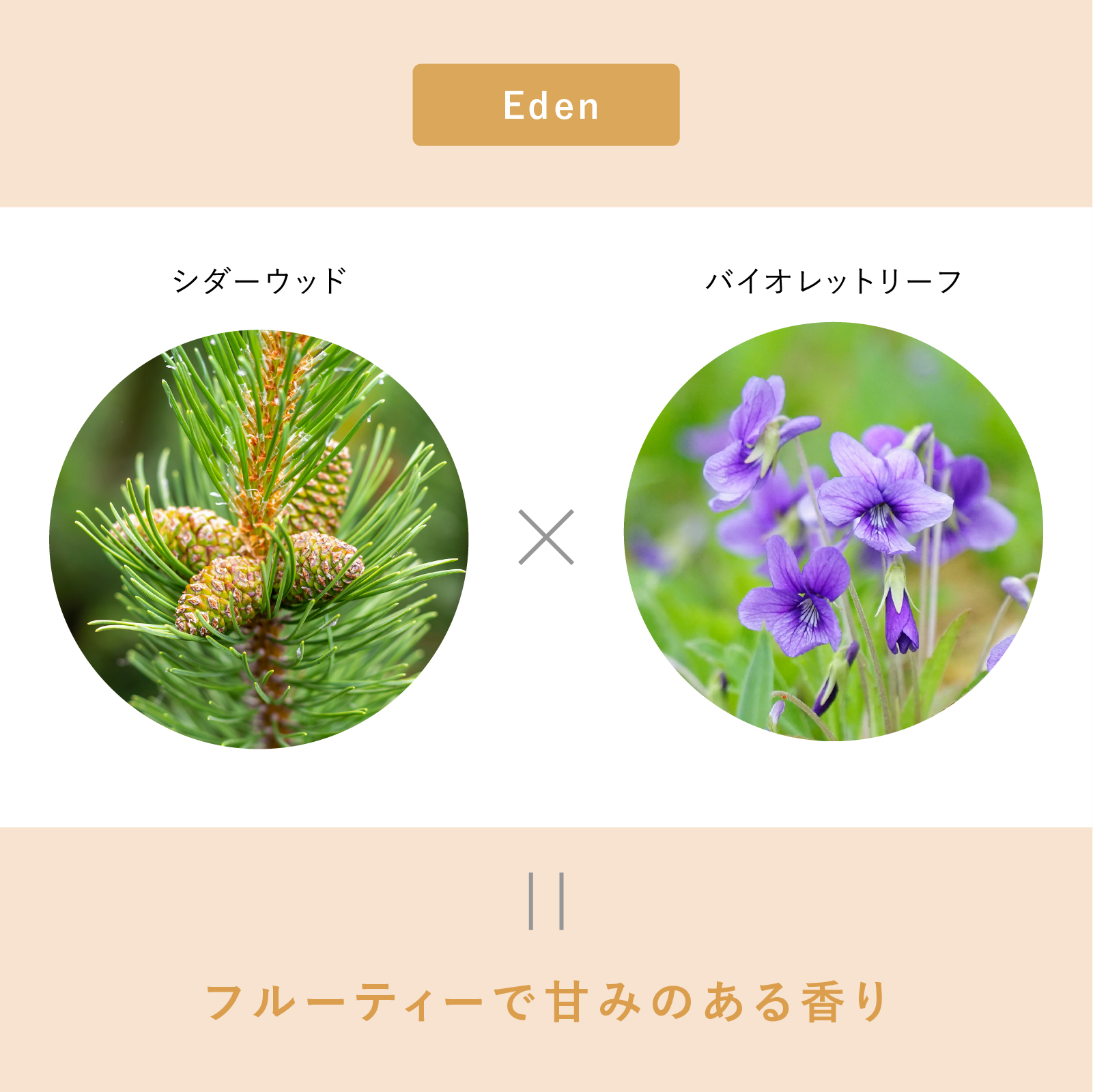 eym-dif-blog10.jpg