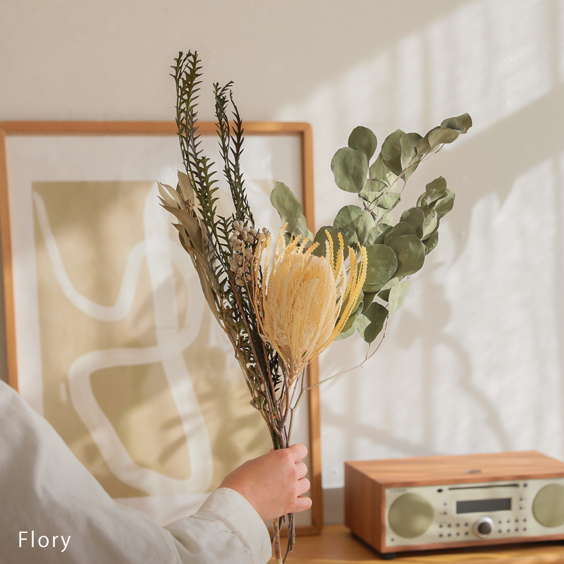 fbdrybous-blog23.jpg