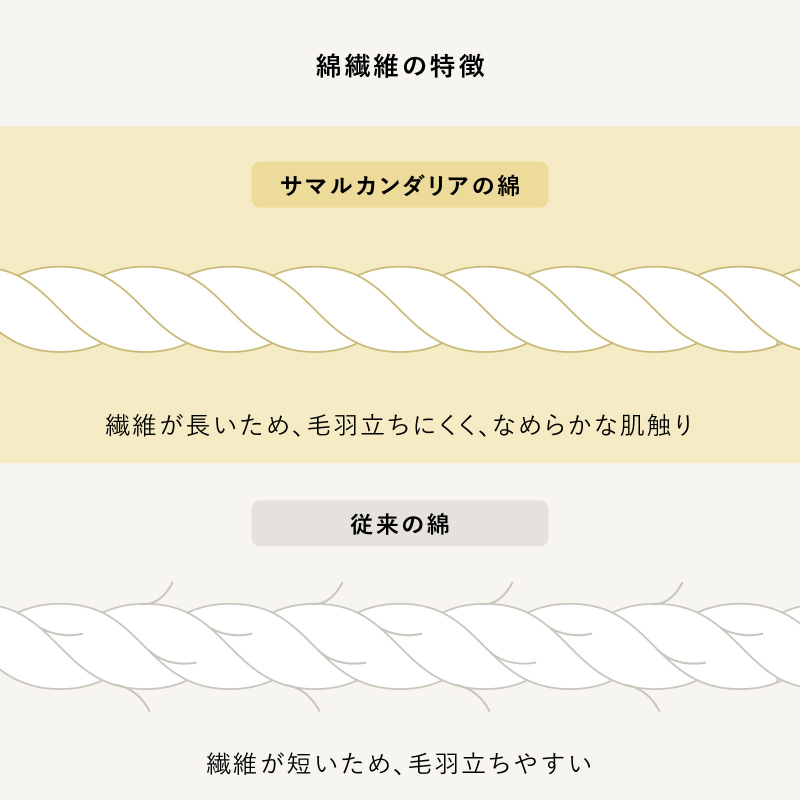 harmo-rug-blog7.jpg