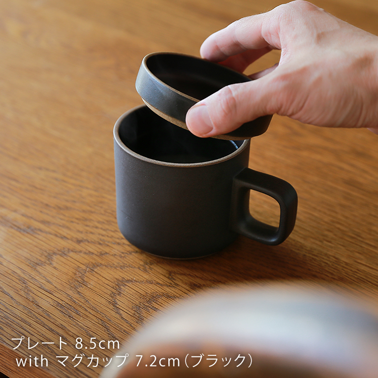 hp-plate-blog9.jpg