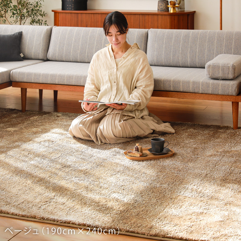 jade-rug-blog1.jpg