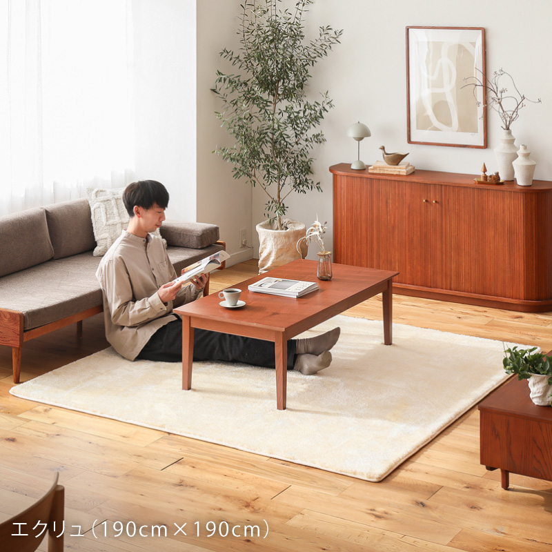 jade-rug-blog16.jpg
