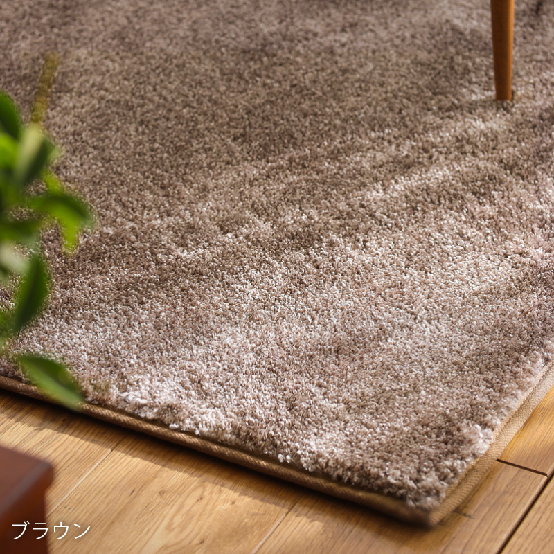 jade-rug-blog2.jpg