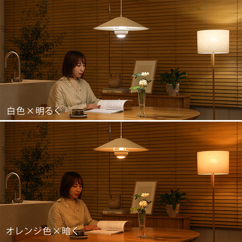 kori-pdt-blog19.jpg