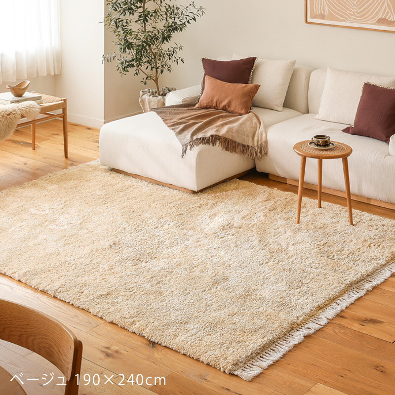lucena-rug-blog22.jpg