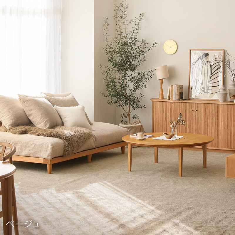 reclear-rug-blog1.jpg