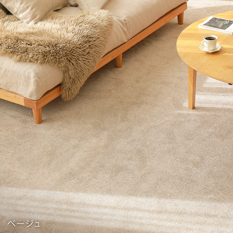 reclear-rug-blog21.jpg