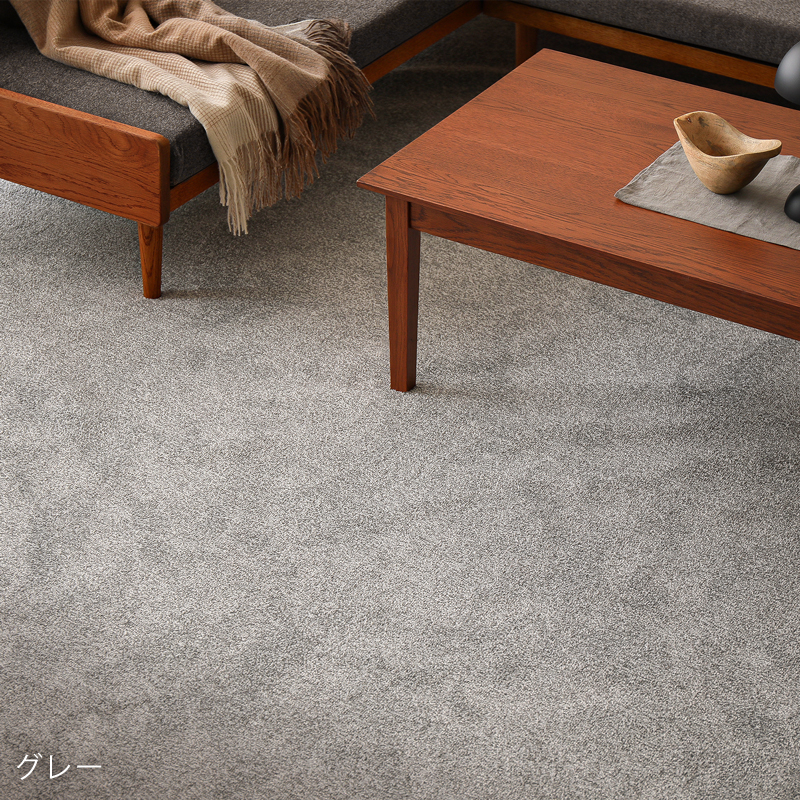 reclear-rug-blog22.jpg