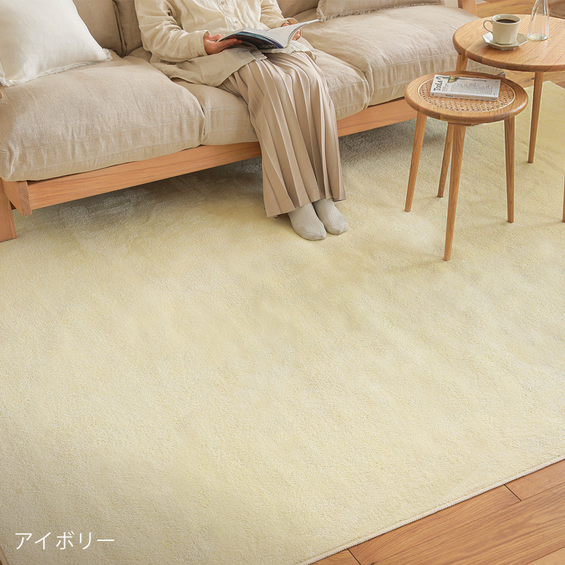 reclear-rug-blog23.jpg