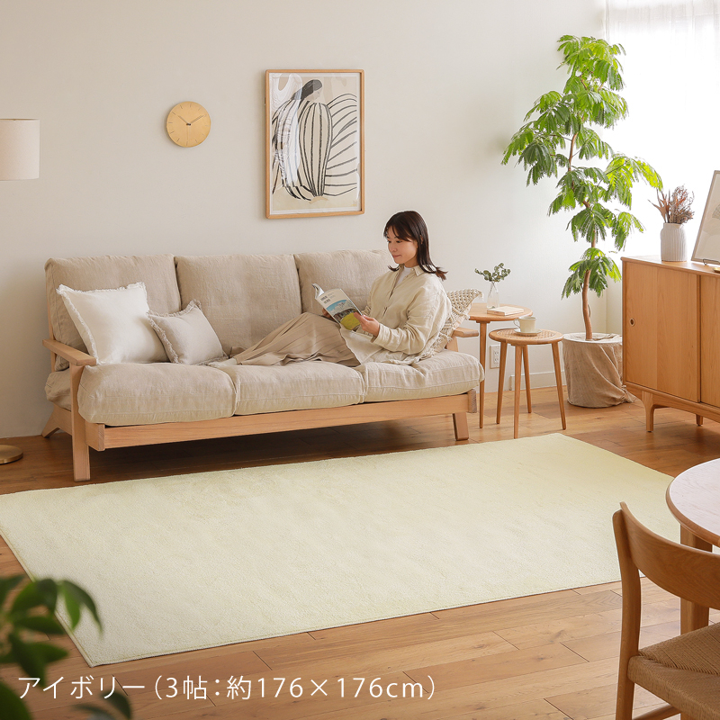 reclear-rug-blog24.jpg