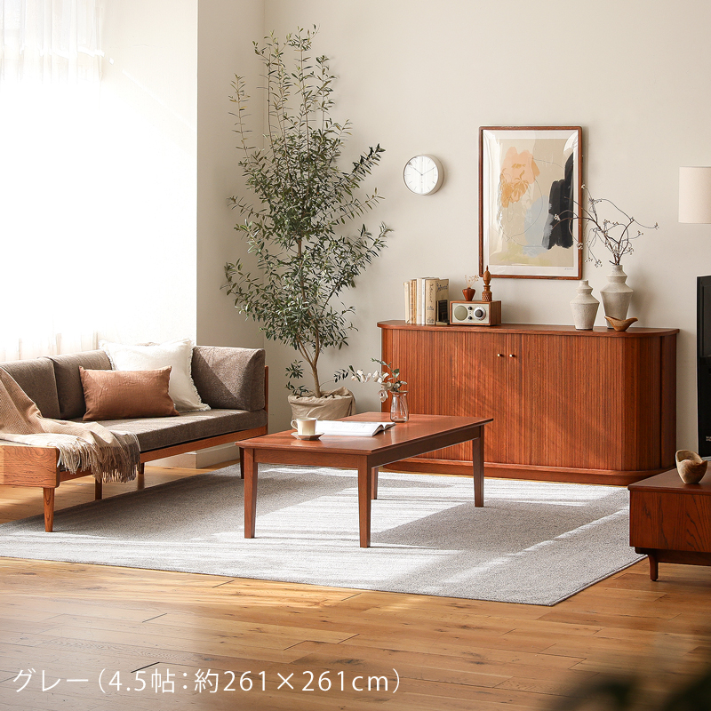 reclear-rug-blog25.jpg