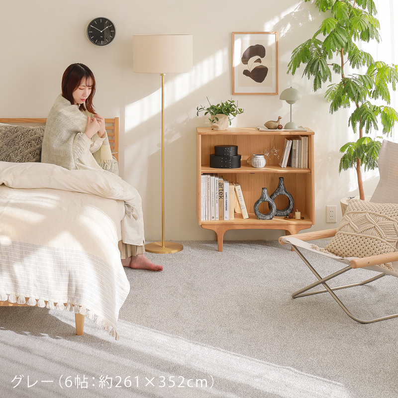 reclear-rug-blog26.jpg