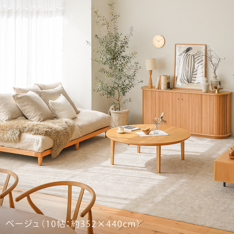 reclear-rug-blog28.jpg