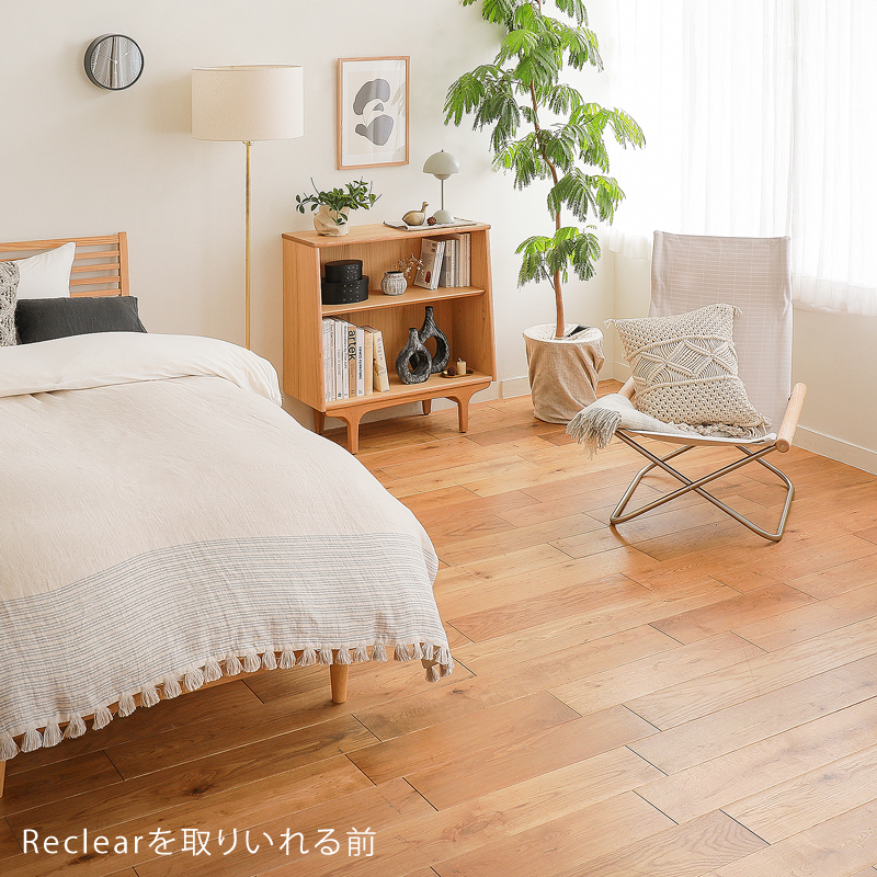 reclear-rug-blog4.jpg