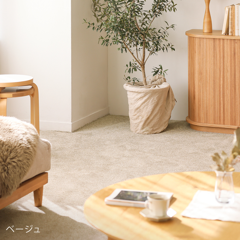 reclear-rug-blog8.jpg