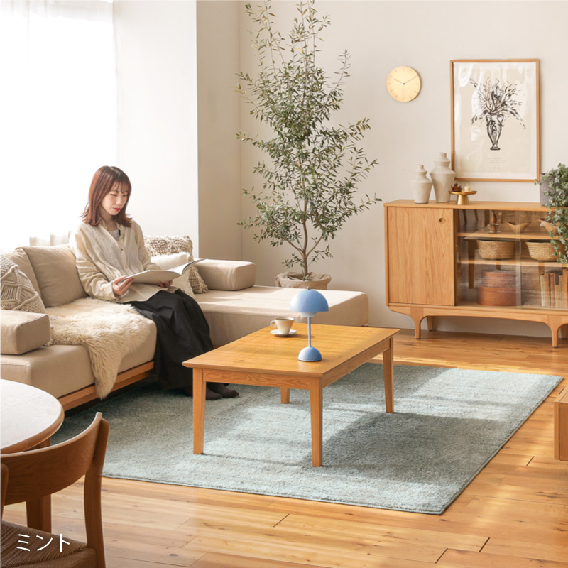 reflet-rug-blog22.jpg