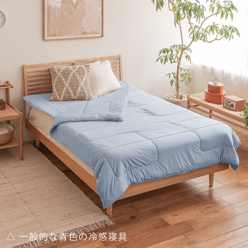 reve-kt-blog6.jpg