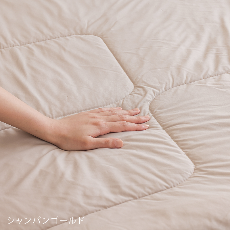 reve-kt-blog9.jpg
