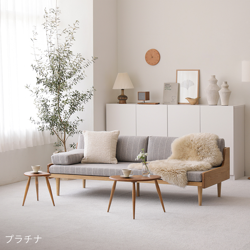 soware-tc-blog3.jpg