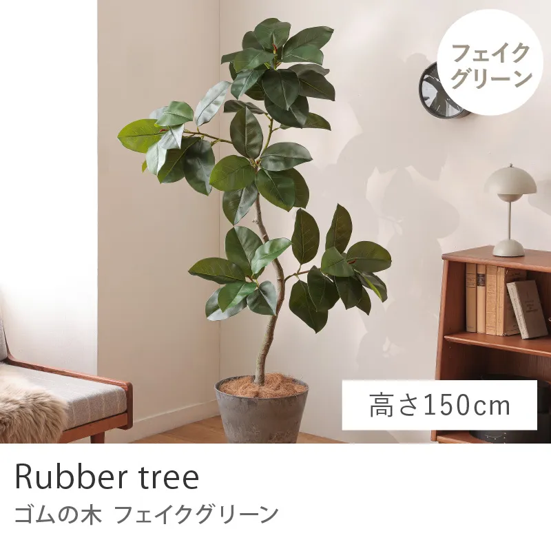 フェイクグリーン ゴムの木／高さ 150cm