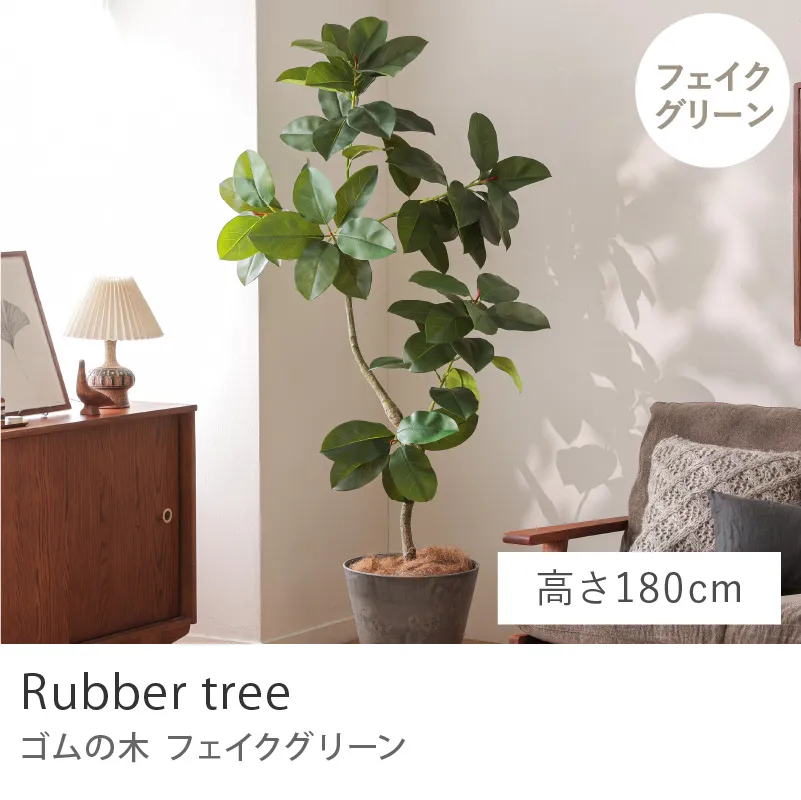 フェイクグリーン ゴムの木／高さ 180cm