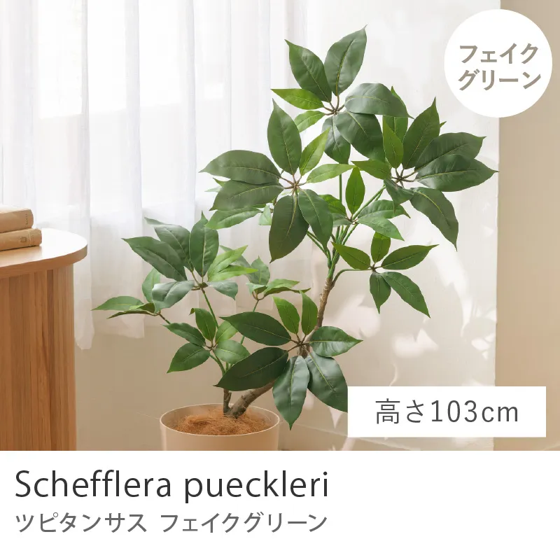 フェイクグリーン ツピタンサス／高さ 103cm