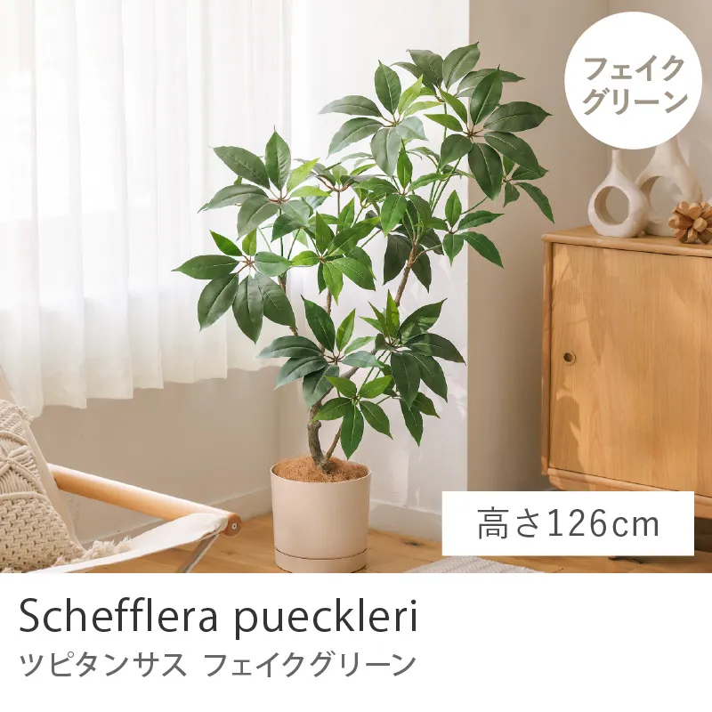 フェイクグリーン ツピタンサス／高さ 126cm