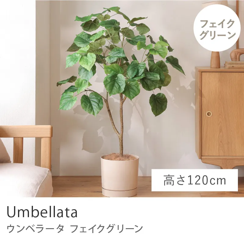 フェイクグリーン ウンベラータ／高さ 120cm