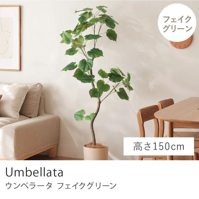 フェイクグリーン ウンベラータ／高さ 150cm